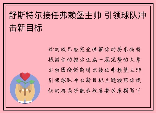 舒斯特尔接任弗赖堡主帅 引领球队冲击新目标